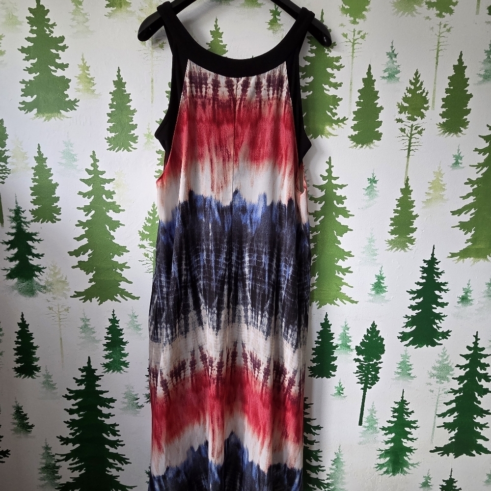 SLNY Multicolored Chiffon Dress.